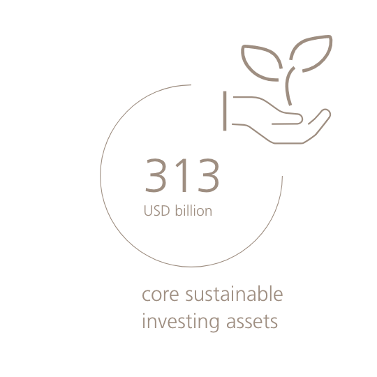 313 USD billion core sustainable investing assets